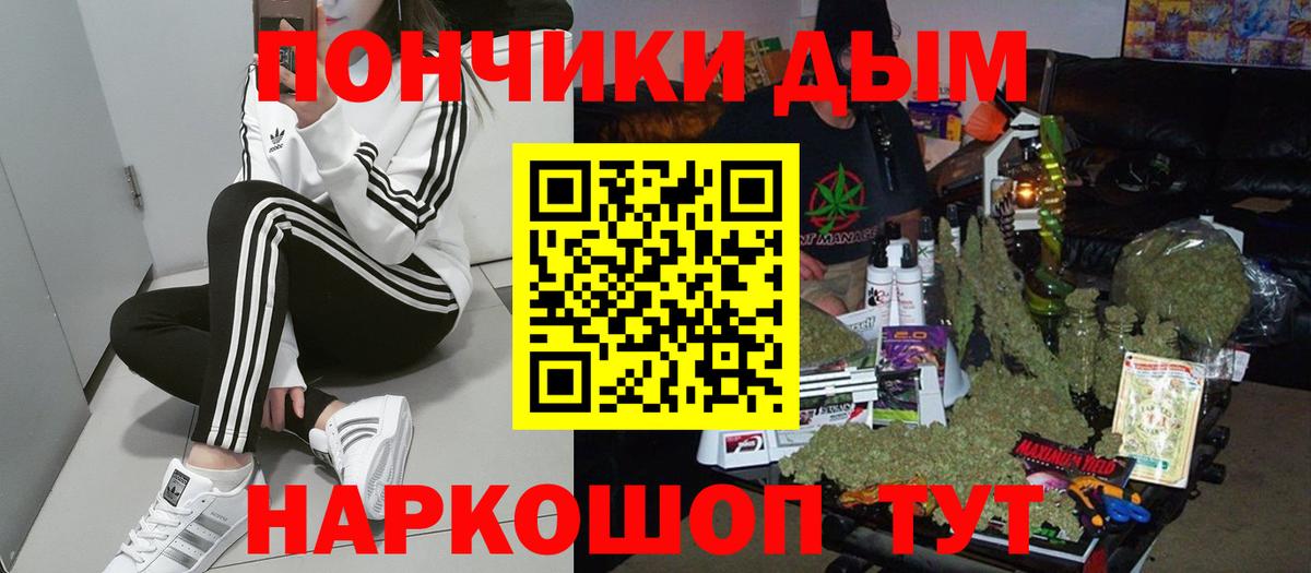 Конопля марихуана Гатчина